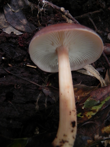e0352220_23310132.jpg