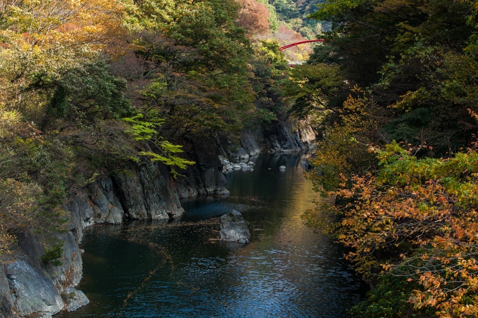 f0333031_17053110.jpg
