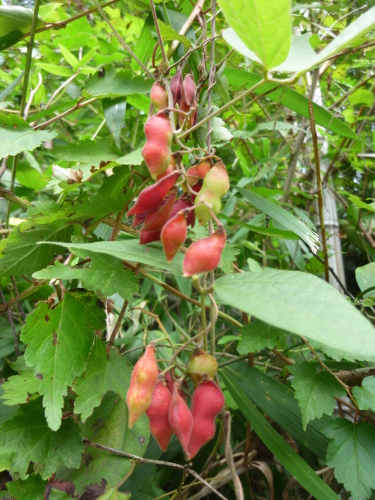 b0298935_20444499.jpg