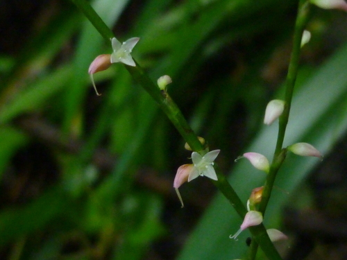 b0298935_20450441.jpg