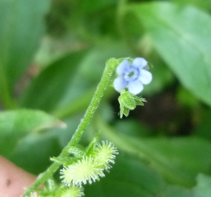 b0298935_20464633.jpg