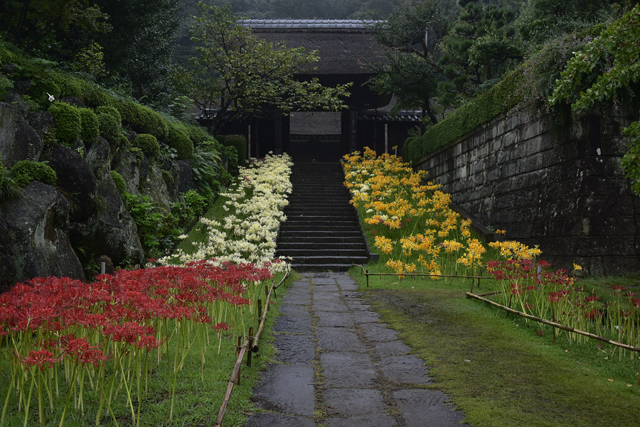 b0042837_20552579.jpg
