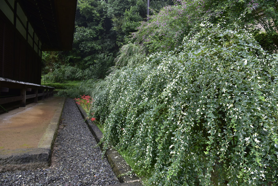 b0042837_2112891.jpg