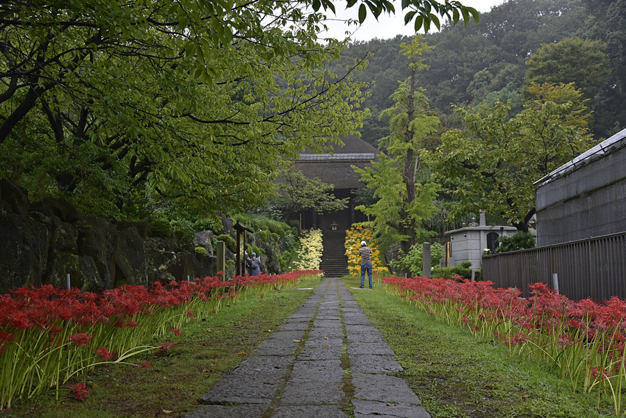 b0042837_2184921.jpg