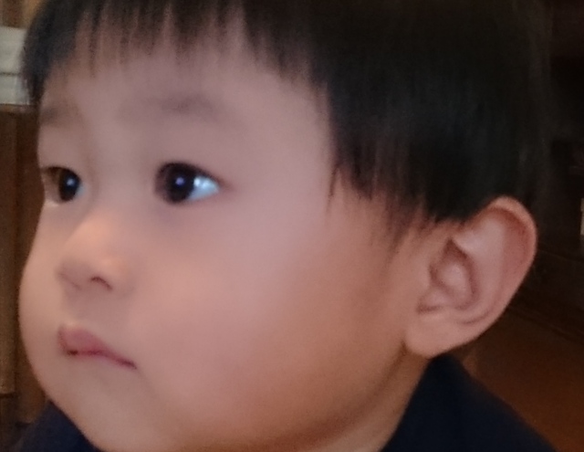 b0075140_20123173.jpg