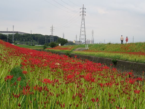 b0341140_2121186.jpg