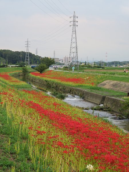 b0341140_21242670.jpg