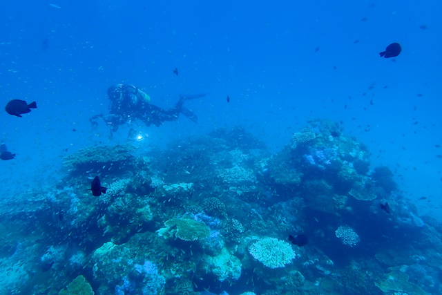 b0062363_18464646.jpg
