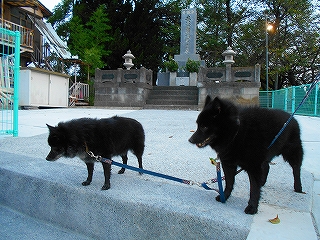 e0002466_6232727.jpg