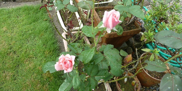 e0278968_22185821.jpg