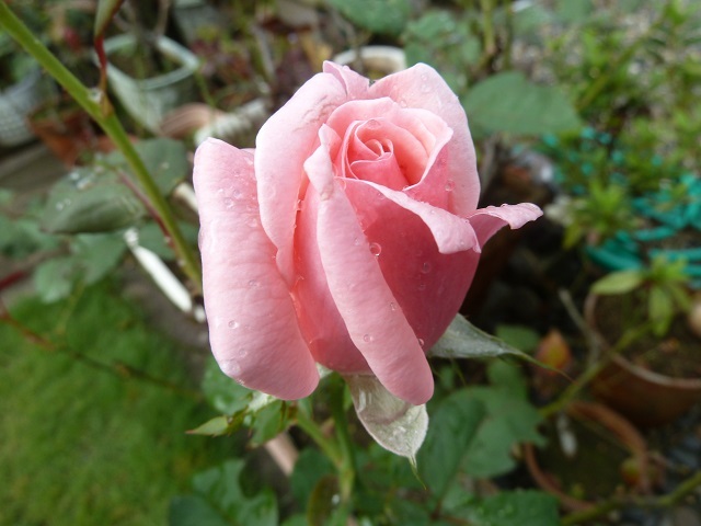 e0278968_22194549.jpg