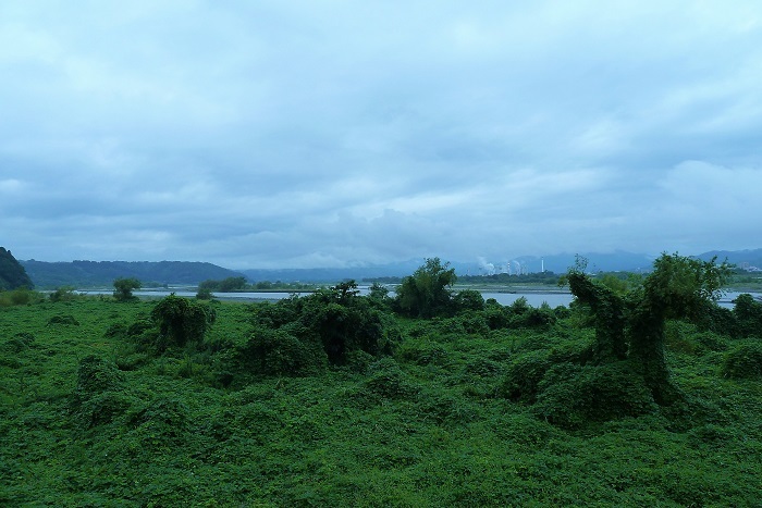 b0326576_18102234.jpg