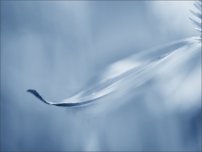 a0161380_1110321.jpg
