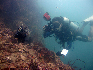 f0144385_21043265.jpg