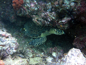 f0144385_21043283.jpg