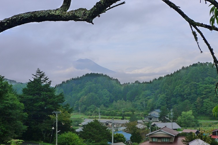 a0130586_871385.jpg