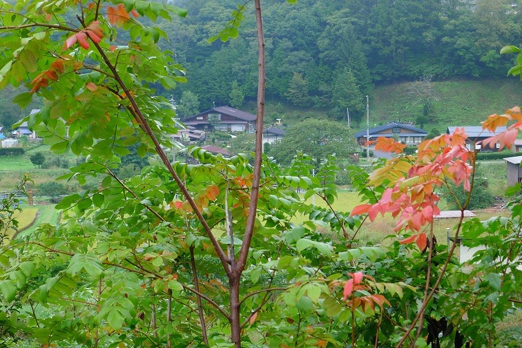 a0130586_88039.jpg
