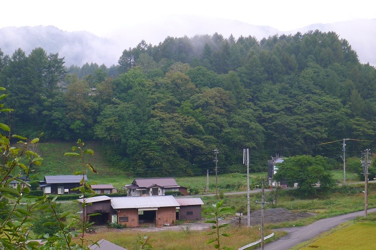 a0130586_883976.jpg