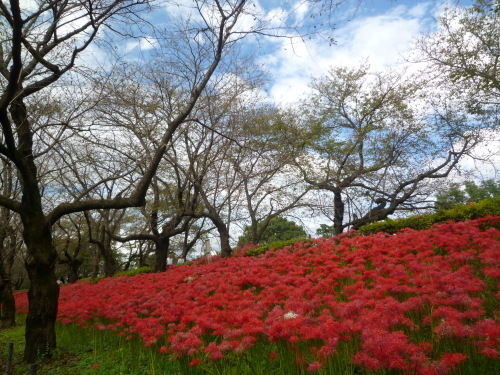 b0335286_21222679.jpg