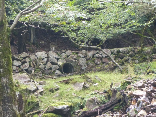f0357487_23402287.jpg