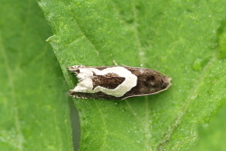 c0369491_21165444.jpg