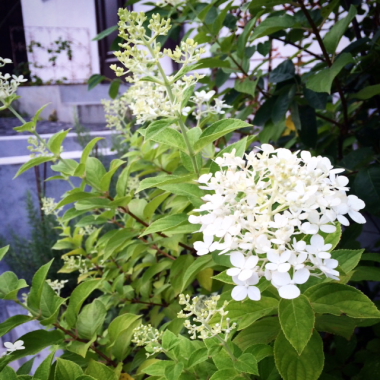 f0161494_17492937.jpg