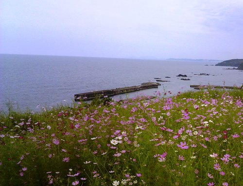 b0067795_1333281.jpg