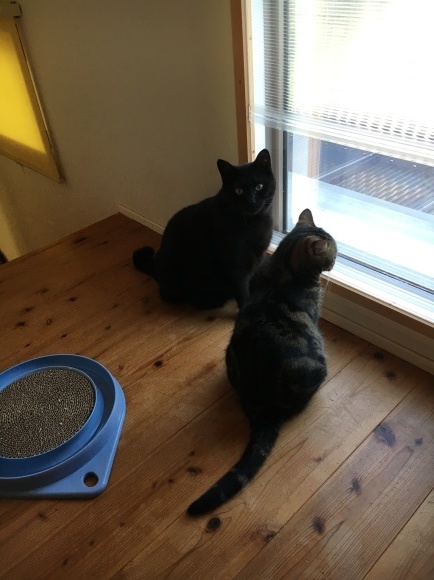 c0011300_21223121.jpeg