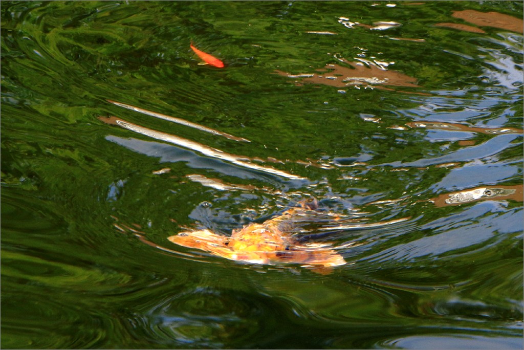 d0353401_20244241.jpg