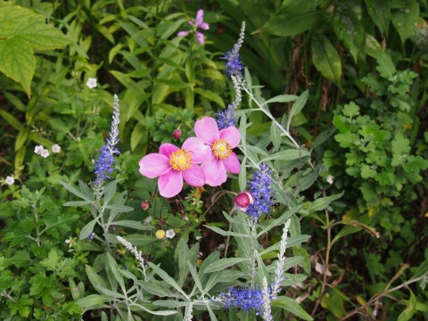c0117007_2127631.jpg