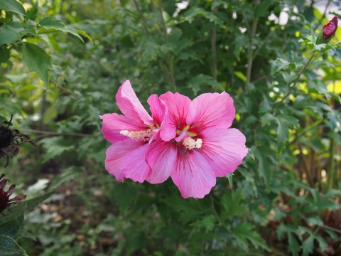 c0117007_21322560.jpg