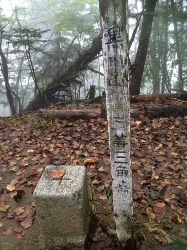 a0027412_08160922.jpeg