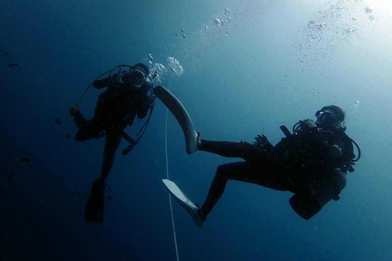 d0259022_1840582.jpg