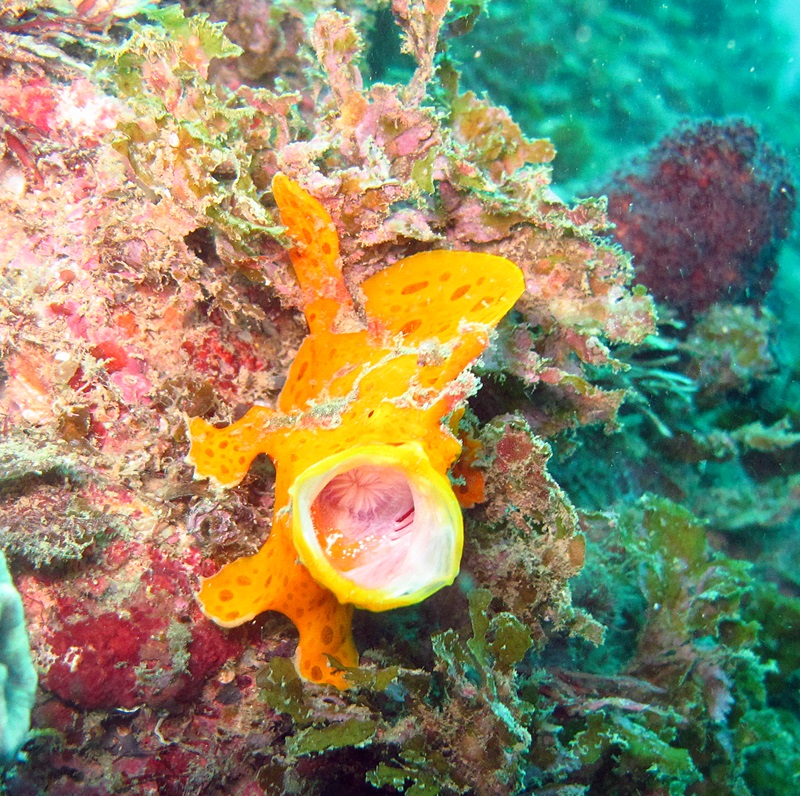 d0259022_18414514.jpg