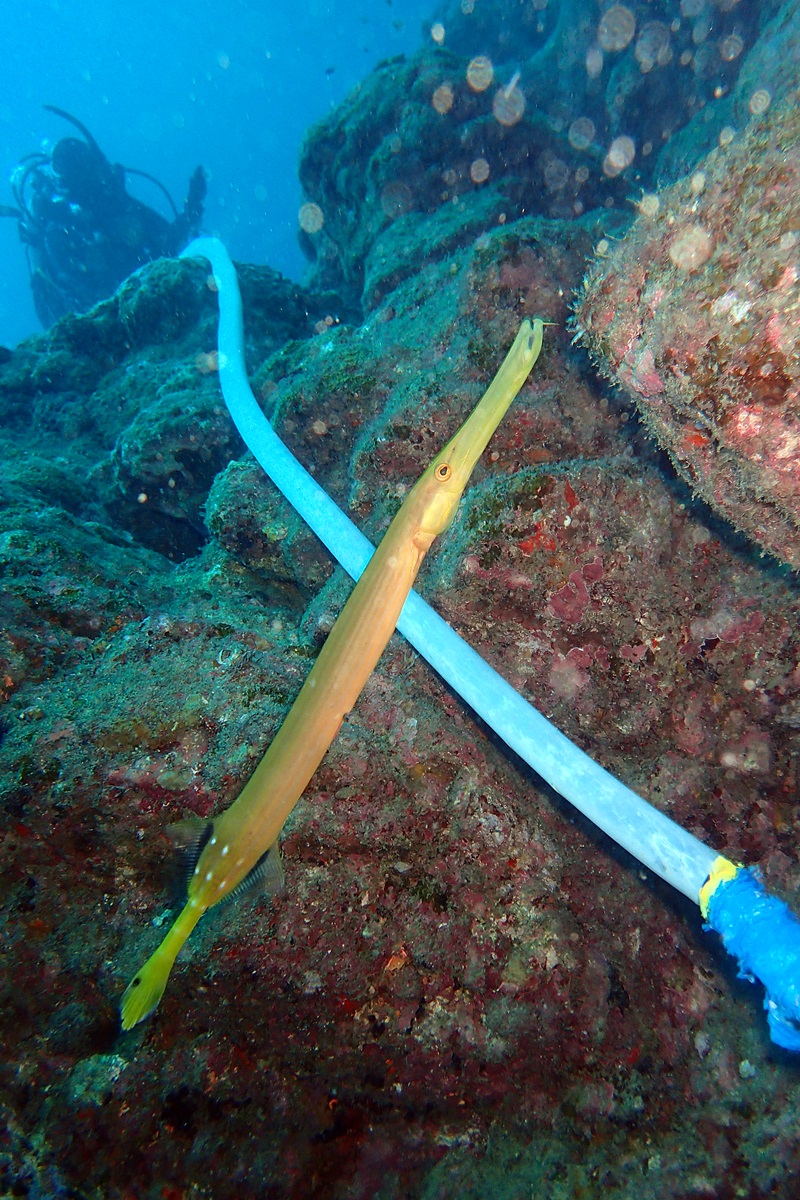 d0259022_19152775.jpg