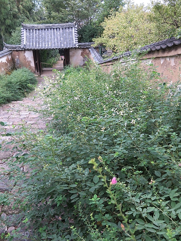 d0352628_119132.jpg