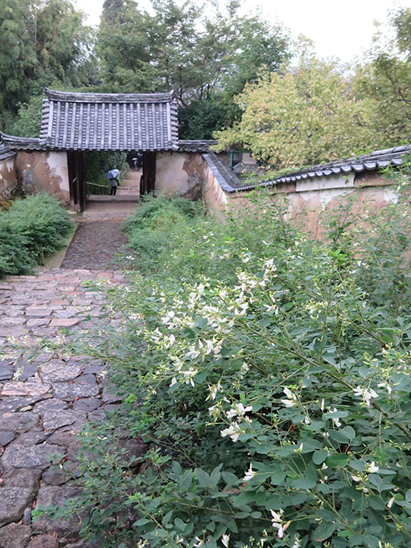 d0352628_15252920.jpg