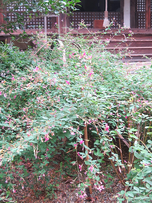 d0352628_1542272.jpg