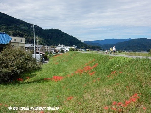 e0033229_14124887.jpg