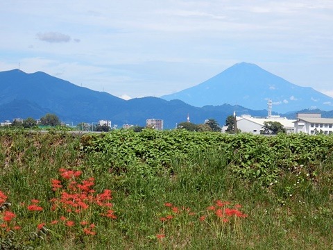 e0033229_1485875.jpg