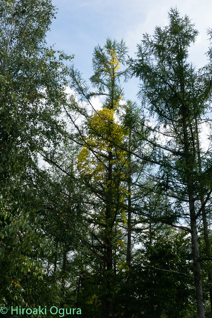 e0025030_16330052.jpg