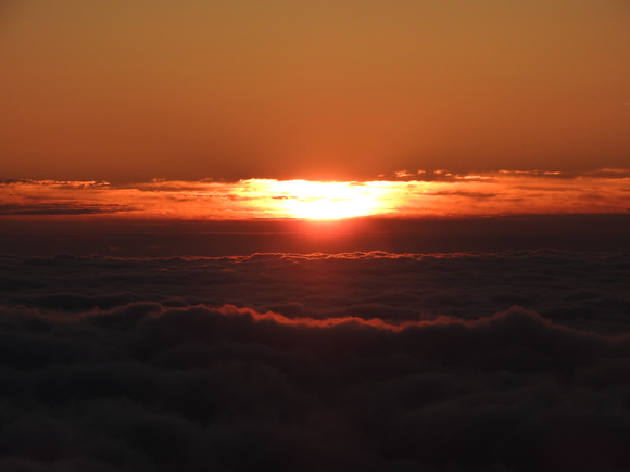 f0118332_23163560.jpg