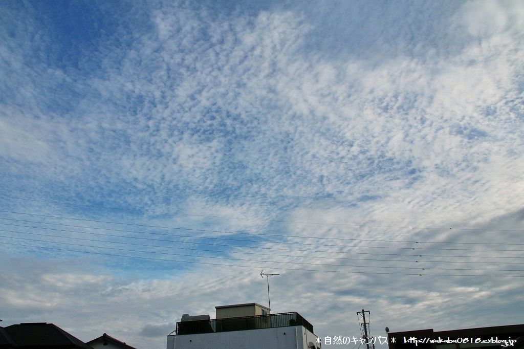 e0052135_21053772.jpg