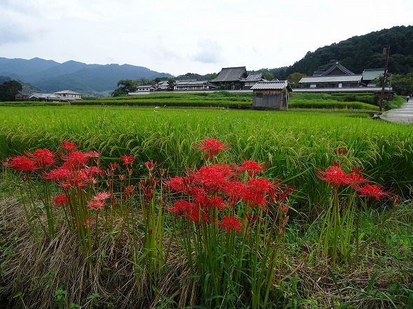 b0299042_10105927.jpg