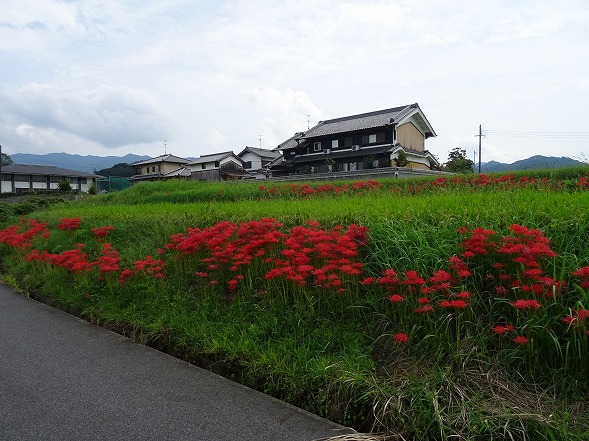 b0299042_10115912.jpg