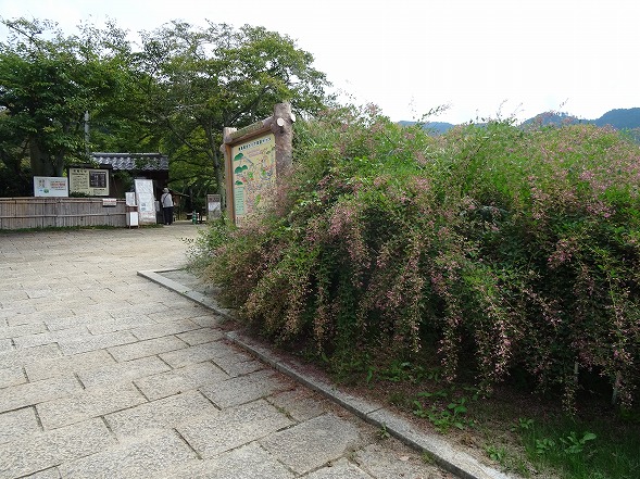 b0299042_10121557.jpg