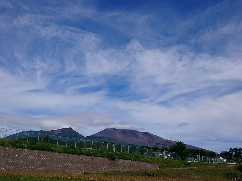 d0306248_12461807.jpg