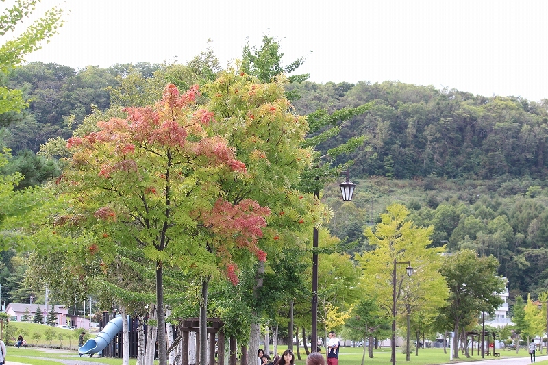 b0250154_07442626.jpg