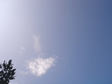 e0001558_10355253.gif