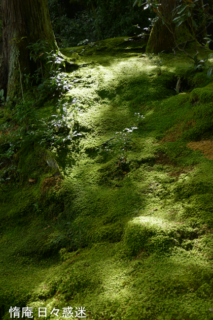 e0346064_14214443.gif